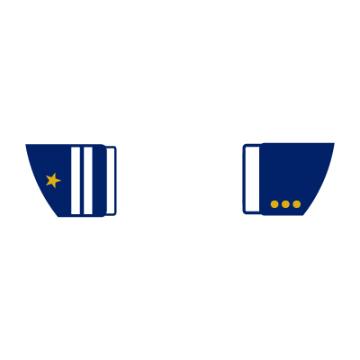 graphic of two blue sleeves
